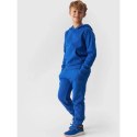 Spodnie dresowe 4F Jr 4FJWMM00TTROM0811-36S 164