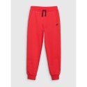 Spodnie dresowe 4F Jr 4FJWMM00TTROM0811-70S 164