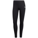 Legginsy adidas Essentials Linear Cotton W JG8621 XL Legginsy adidas Essentials Linear Cotton W JG8621 XL