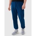 Spodnie 4F M 4FWMM00TTROM1139-46S XL