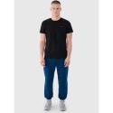 Spodnie 4F M 4FWMM00TTROM1139-46S XL