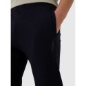 Spodnie 4F M 4FWSS25TTROM1014-20S XL