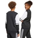 Bluza adidas Squadra 25 Sweat Crew Jr JE2773 152cm