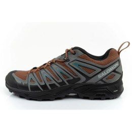 Buty Salomon X Ultra Pioneer Aero M 416698 46