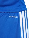 Spodenki adidas Squadra 25 Jr JN5455 116 cm
