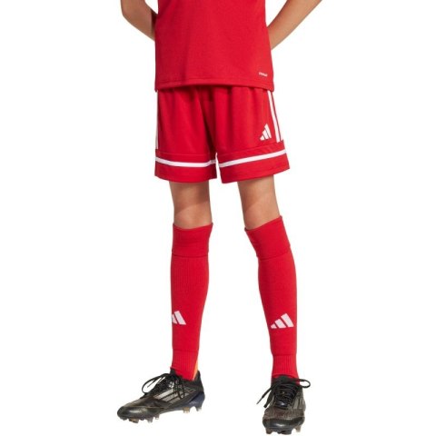 Spodenki adidas Squadra 25 Jr JN5456 116 Spodenki adidas Squadra 25 Jr JN5456 116
