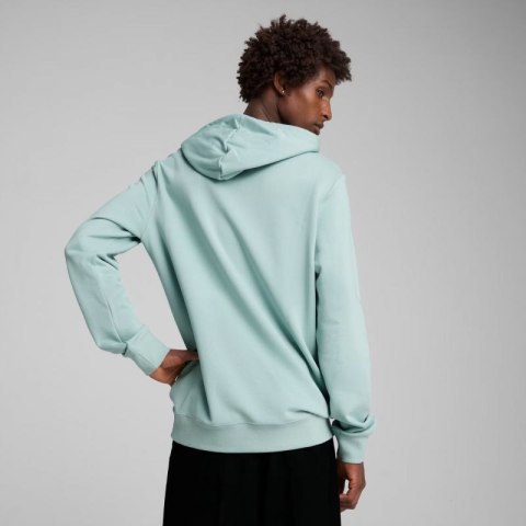 Bluza Puma Ess 2 Color Small No.1 Logo Hoodie TR M 684719 67 L Bluza Puma Ess 2 Color Small No.1 Logo Hoodie TR M 684719 67 L