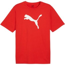 Koszulka Puma Team Rise Logo Jersey Cotton M 658705 01 M