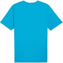 Koszulka Puma Team Rise Logo Jersey Cotton M 658705 02 M