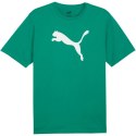 Koszulka Puma Team Rise Logo Jersey Cotton M 658705 05 M