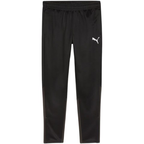 Spodnie Puma Team Goal Training M 658639 03 M