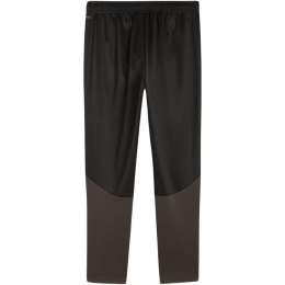 Spodnie Puma Team Goal Training M 658639 03 M