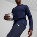 Spodnie Puma Team Goal Training M 658639 06 L