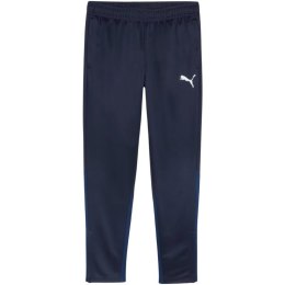 Spodnie Puma Team Goal Training M 658639 06 S