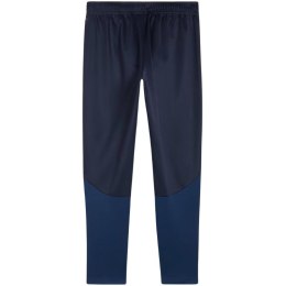 Spodnie Puma Team Goal Training M 658639 06 S