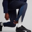 Spodnie Puma Team Goal Training M 658639 06 S