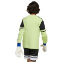 Koszulka bramkarska adidas Squadra 25 Long Sleeve Jr JJ1940 176cm