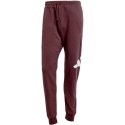 Spodnie adidas Essentials Big Logo French Terry M JE8972 XL