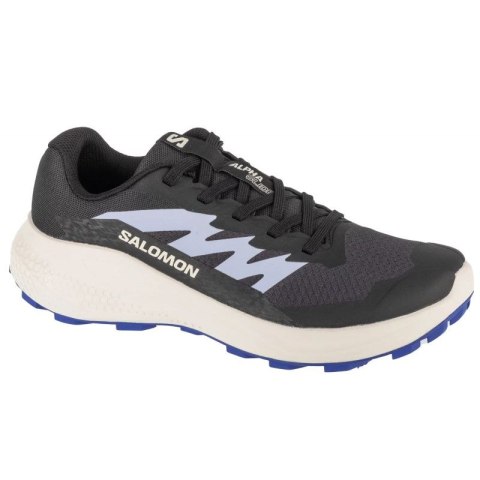 Buty do biegania Salomon Alphaglide W L47801800 40