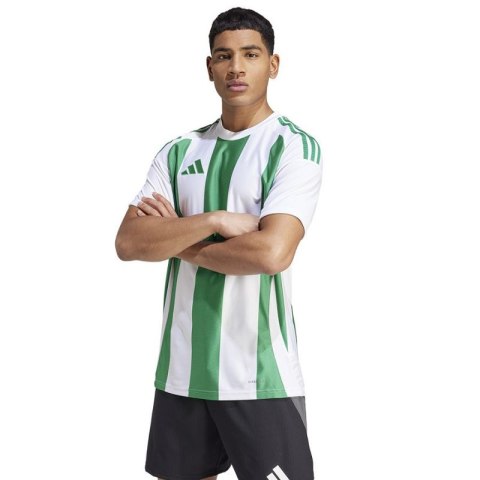 Koszulka adidas Striped 24 JSY M IW2148 XXL Koszulka adidas Striped 24 JSY M IW2148 XXL