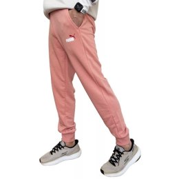 Spodnie Puma Ess+ 2 Col Logo M 586768 62 L