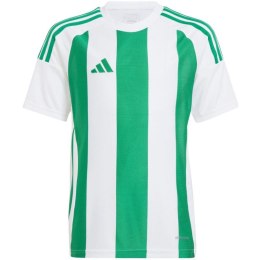 Koszulka adidas Striped 24 Jr IW2138 152cm