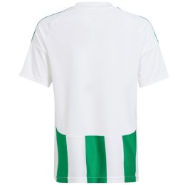 Koszulka adidas Striped 24 Jr IW2138 152cm