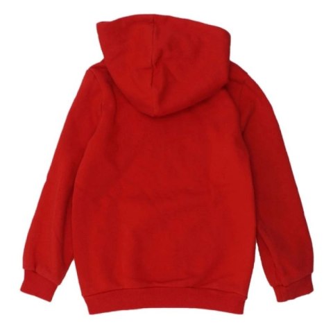 Bluza Puma DCT Hoodie Jr 849258 11 116 Bluza Puma DCT Hoodie Jr 849258 11 116