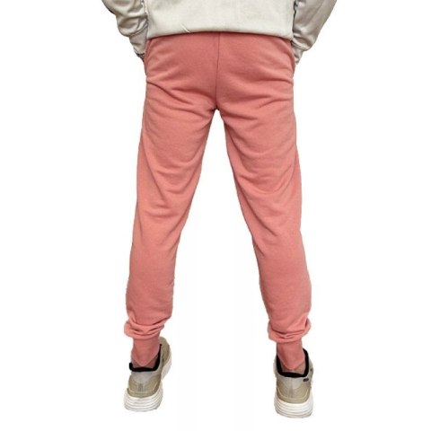 Spodnie Puma Ess+ 2 Col Logo M 586768 62 XL Spodnie Puma Ess+ 2 Col Logo M 586768 62 XL