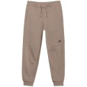 Spodnie 4F CAS M1103 Jr 4FJWSS25TTROM1103 83S 134 cm