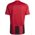 Koszulka adidas Striped 24 JSY M IW4556 2XL