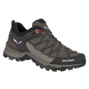 Buty trekkingowe Salewa Mtn Trainer Lite GTX W 61362-7517 EU 36,5