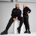 Spodnie Puma ESS Small No. 1 Logo W 682448 01 M