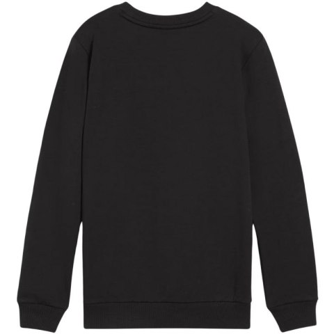 Bluza Puma Team Goal Casuals Crew Neck Sweat Jr 658593 03 152cm Bluza Puma Team Goal Casuals Crew Neck Sweat Jr 658593 03 152cm