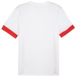 Koszulka Puma teamGoal Matchday Jersey M 705747 11 S