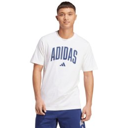 Koszulka adidas Collegiate Lineage Graphic M JM6416 L