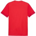Koszulka Puma teamGoal Matchday Jersey M 705747 01 S