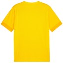 Koszulka Puma teamGoal Matchday Jersey M 705747 07 S