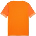 Koszulka Puma teamGoal Matchday Jersey M 705747 08 S