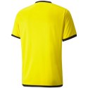 Koszulka Puma teamLIGA Jersey M 704917 07 S