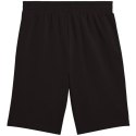 Spodenki Puma Ess 2 Color No. 1 Logo M 684715 01 S