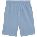 Spodenki Puma Ess 2 Color No. 1 Logo M 684715 34 M