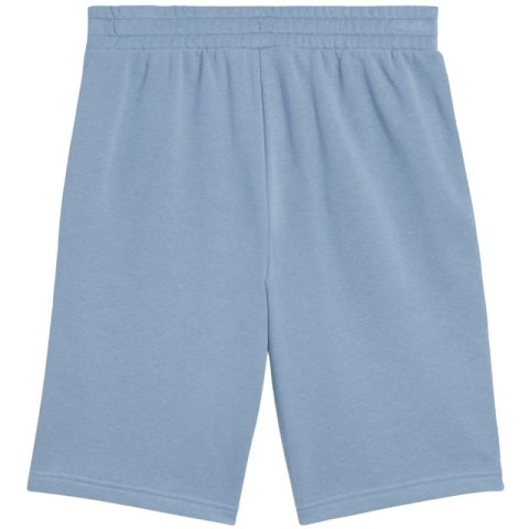 Spodenki Puma Ess 2 Color No. 1 Logo M 684715 34 M Spodenki Puma Ess 2 Color No. 1 Logo M 684715 34 M