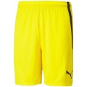 Spodenki Puma teamLIGA M 704924 07 L Spodenki Puma teamLIGA M 704924 07 L