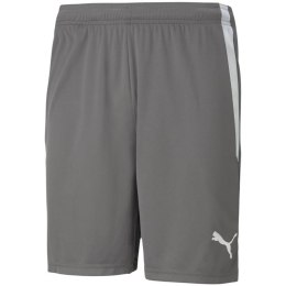 Spodenki Puma teamLIGA M 704924 13 M