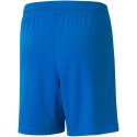 Spodenki Puma teamLIGA Shorts Jr 704931 02 152cm
