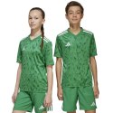 Koszulka adidas Team Icon 25 JSY Jr JJ1956 164 cm