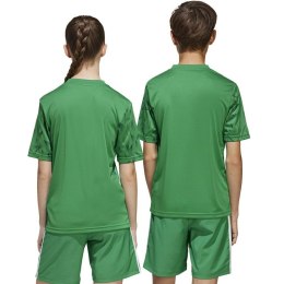 Koszulka adidas Team Icon 25 JSY Jr JJ1956 164 cm