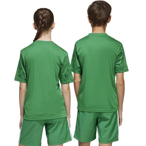 Koszulka adidas Team Icon 25 JSY Jr JJ1956 164 cm Koszulka adidas Team Icon 25 JSY Jr JJ1956 164 cm
