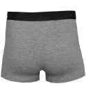 Bokserki 4F Men's Briefs M H4L22-BIM350-90M S